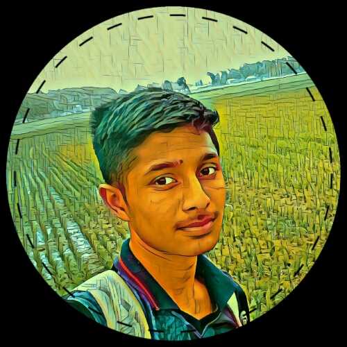 Nowshad Hossain R. - Data Entry Assistant