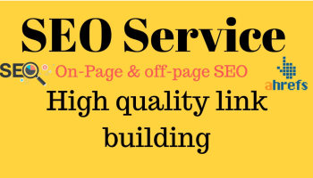 I Will Do SEO For Your Business Website