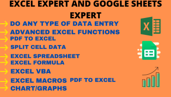 excel data entry expert