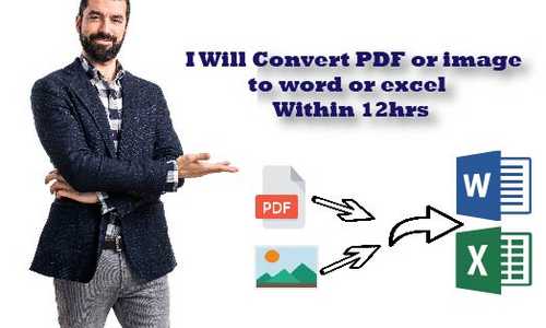 I will Convert PDF or image to word or excel in a day.