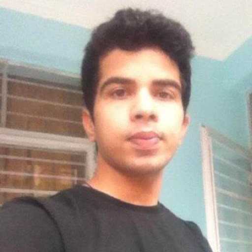 Priyansu R. - Wordpress developer