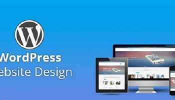 I will create WordPress website and e-commerce