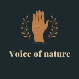 Voice Of Nature - 