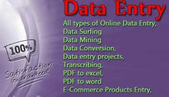 Data Entry and Organization on Excel