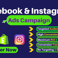 I will run a productive Instagram and Facebook ads campaign