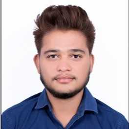 Shivam D. - Civil engineer 