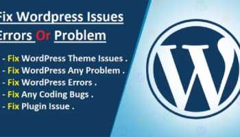 I will fix wordpress issues, error and do customization