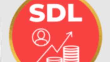 Smart Digi Leads (SDL) Driving Organic Traffic & Leads To The Website 