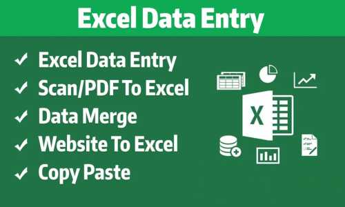 I will do any data entry in google docs, excel, word, PowerPoint, or any datasheet. I can copy and paste data, mine/collect data, research it, proofread, fix, format data, and much more. Message me on Fiverr before any offers for a custom offer.