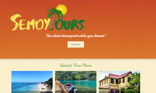 Website design for tour company