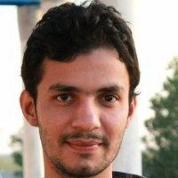 Farrukh K. - Senior Software Engineer / Freelance Consultant / Architect (.net/javascript/front end/full stack)