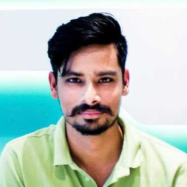 Rajdeep S. - Expert Web Designer and Wordpress Developer