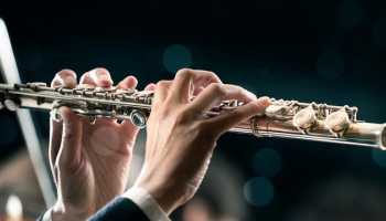 Online flute and music theory lesson