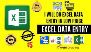 I will do data entry, web scraping, excel, typing, copy paste work.