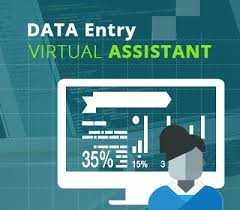 Farhan A. - Data Entry Virtual Assistant