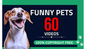 I will create funny animal compilation videos for youtube and fb