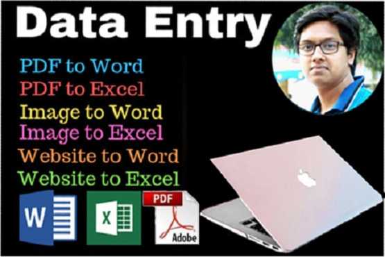 Aditta G. - Professional Data Entry work 