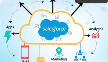 Salesforce Domain Expertise