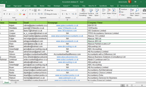 Accountant Database of 820 records copied from a website into Microsoft Excel.