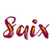 Saix D. - Writer/Blogger/Transcription