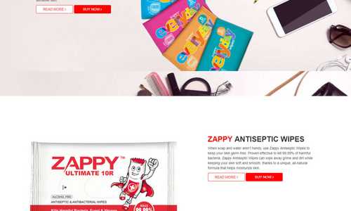 Zappy - Ecommerce Website (http://www.zappy.com.ph)