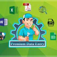Data Entry Agent