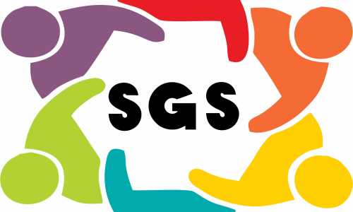 Logo Designing for SGS (SynerGetics Secure Solutions)