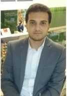 Ahmad S. - Senior Software Developer / Sharepoint Expert