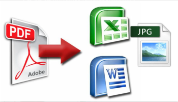I will convert pdf to ms word, excel or power point