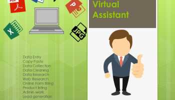 Virtual Assistant - Data Entry | Data Cleansing | Data Sorting | Typing