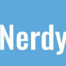 Nerdy B. - logo design 