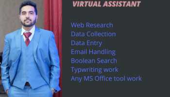 Data entry virtual assistant 