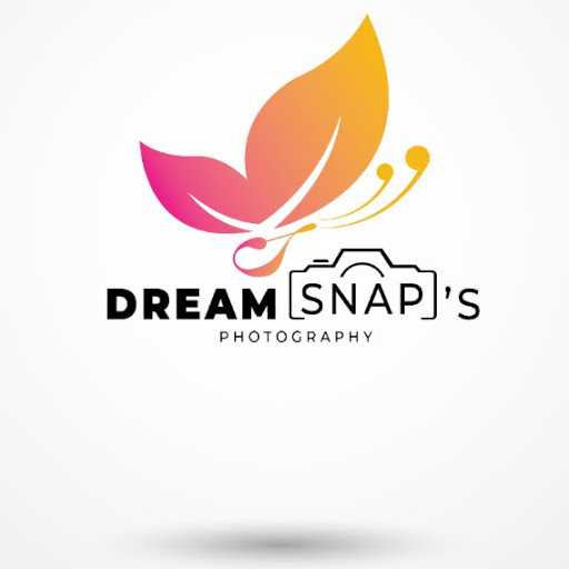 Dream Snaps S. - MIS executive excel master