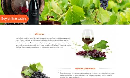 Kyrenia Wines web design