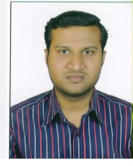 Praveen Kumar K. - Data analyst and costing