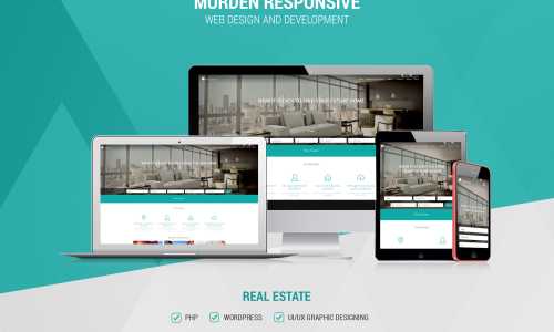 Real estate website design & development