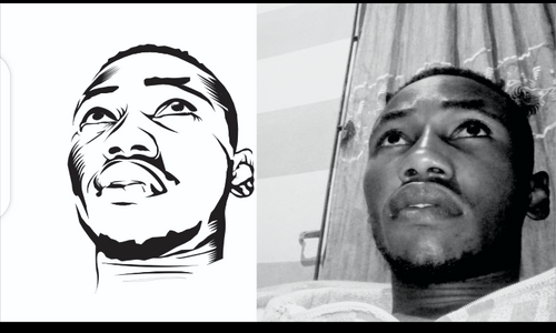 I create face vector image for monochromatic prints for tshirts and other line cutting machine