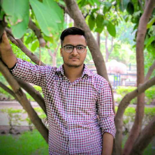Dhaval A. - Senior Android Developer