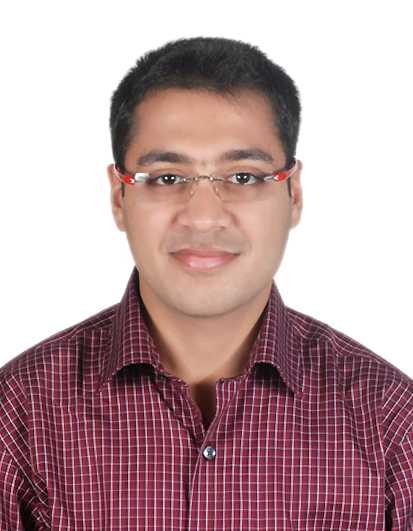 Punit Agarwal - Business Analyst