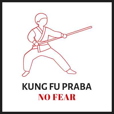 Kungfu P. - designing world