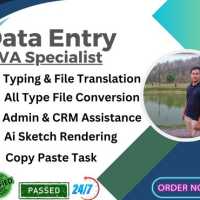 expert data entry, copy paste, and admin assistance