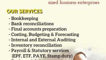 Accounting, Auditing, Finance Analyzing , Fund Managment, Banking, Taxation 