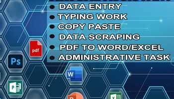 I will do do data entry, typing, PDF and etc to ms word editable-15 pages