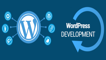 I will design or develop a responsive wordpress blog website