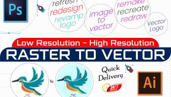 I will remake, revamp, and refresh your design manually in vector format