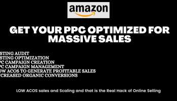 I can create and run PPC campaign of your Amazon Store 