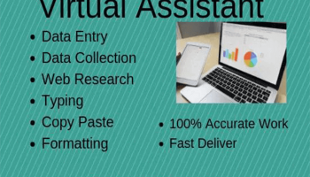 Virtual Assistant 