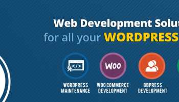 Wordpress Basic Website